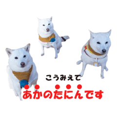 [LINEスタンプ] うつくしば日常編2