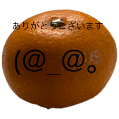 [LINEスタンプ] みかん太郎a