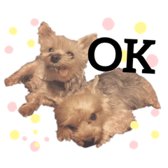 [LINEスタンプ] エルちゃんとレオンぽん
