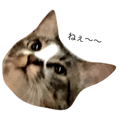 [LINEスタンプ] ぐりとしろ