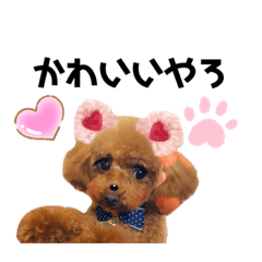 [LINEスタンプ] トイプー♡神羽⑵