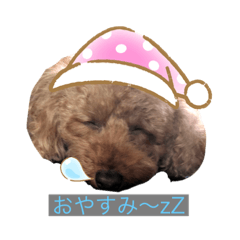 [LINEスタンプ] チョコちゃんのスタンプです！