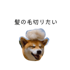 [LINEスタンプ] はなすずそらのシンプルスタンプ