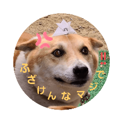 [LINEスタンプ] ろざんと愉快な仲間たち