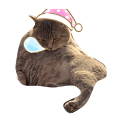 [LINEスタンプ] くうたはちみぼたん