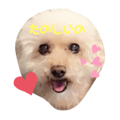 [LINEスタンプ] ぷうちゃん日和