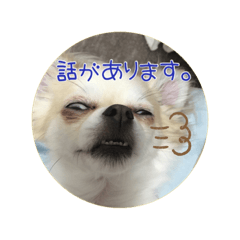 [LINEスタンプ] PAL①