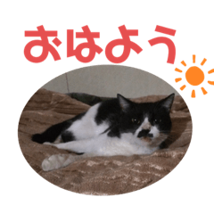 [LINEスタンプ] わたなべ家☆5