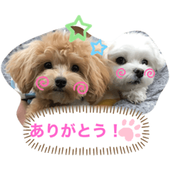 [LINEスタンプ] テンとルン
