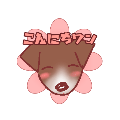 [LINEスタンプ] 愛犬マイロ【13歳記念】