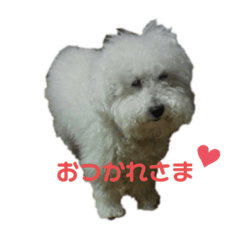[LINEスタンプ] ぼくゴロー2
