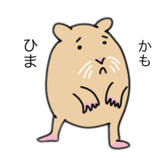 [LINEスタンプ] 〜坊〜ハムスターの日常