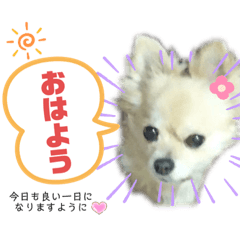 [LINEスタンプ] ♡ひなちゃん♡スタンプ
