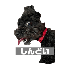 [LINEスタンプ] 毎日ハッピーラッキー♡