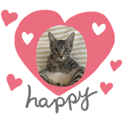 [LINEスタンプ] うめさんちのタイガ