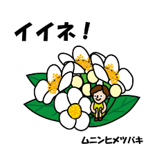 [LINEスタンプ] 島生活と大好きなパンダさん