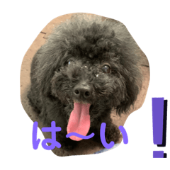 [LINEスタンプ] わんこ3兄弟2