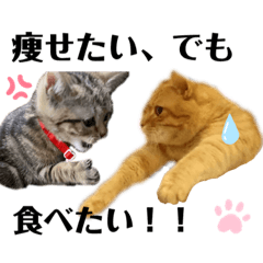 [LINEスタンプ] ひまにゃん10