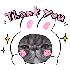 [LINEスタンプ] tororo背景スタンプ