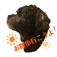 [LINEスタンプ] シープーのカイラ-2