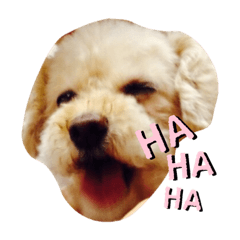 [LINEスタンプ] ぶうちゃん日和②