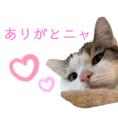 [LINEスタンプ] 大宮軍団