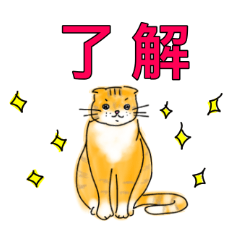 [LINEスタンプ] 茶とら猫の日常スタンプ