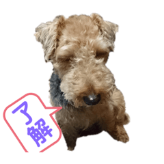 [LINEスタンプ] B〜T