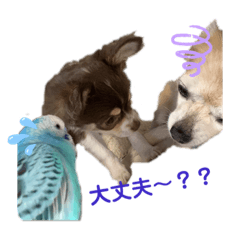 [LINEスタンプ] もりもり島 3