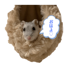 [LINEスタンプ] ハムスター界のそうたくん2