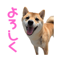 [LINEスタンプ] 14.はな