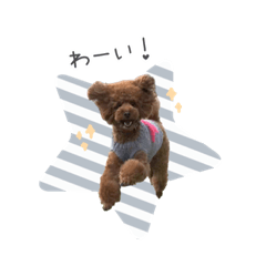 [LINEスタンプ] コナンくんスタンプ⸜❤︎⸝‍