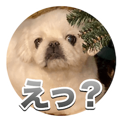 [LINEスタンプ] シド くん 2