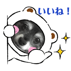 [LINEスタンプ] 犬のジョニースタンプ