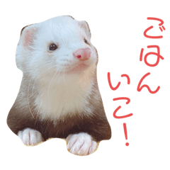 [LINEスタンプ] きなすた1