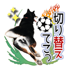 [LINEスタンプ] 黒柴犬の♡サッカー応援♡スタンプ01