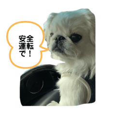 [LINEスタンプ] はくまいくん02