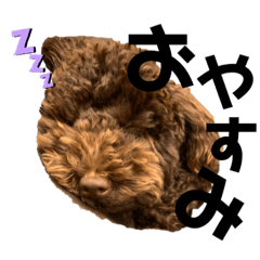 [LINEスタンプ] 日常使い。