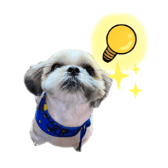 [LINEスタンプ] hukuhukuわんにゃん