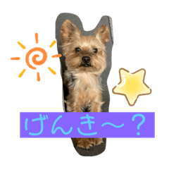 [LINEスタンプ] シェル様スタンプ