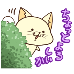 [LINEスタンプ] もちもちにゃんこスタンプ