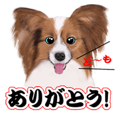 [LINEスタンプ] キュートすぎる犬の画像（メイン）