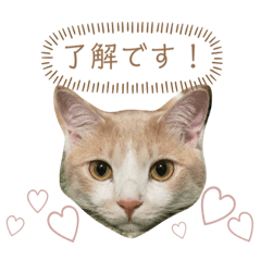 [LINEスタンプ] Kotaro kun ♡