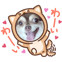 [LINEスタンプ] 犬のうたスタンプ