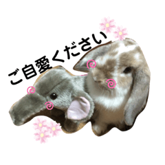 [LINEスタンプ] うさぎのらむねちゃんver.5〜日常