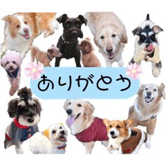 [LINEスタンプ] 杭瀬川のゆかいな仲間たち＊その3