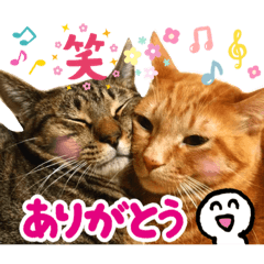 [LINEスタンプ] Johnny ＆ Chocola ❸