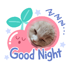 [LINEスタンプ] こむぎくん パート1 2021.2