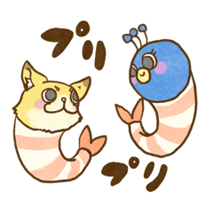 [LINEスタンプ] のあこんスタンプ