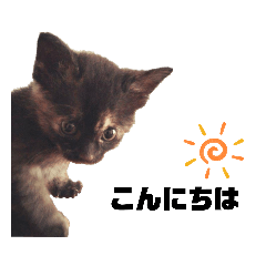 [LINEスタンプ] ねこのくぽ